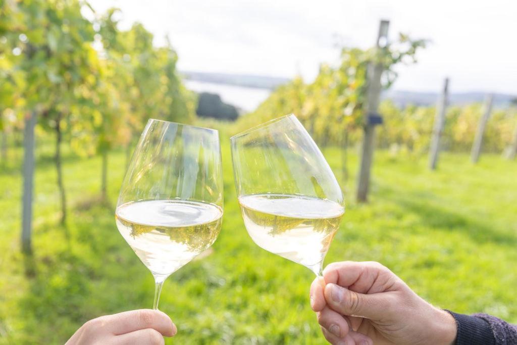 Lympstone Manor Hotel Restaurant & Vineyard - Relais & Chateaux 엑스머스 외부 사진