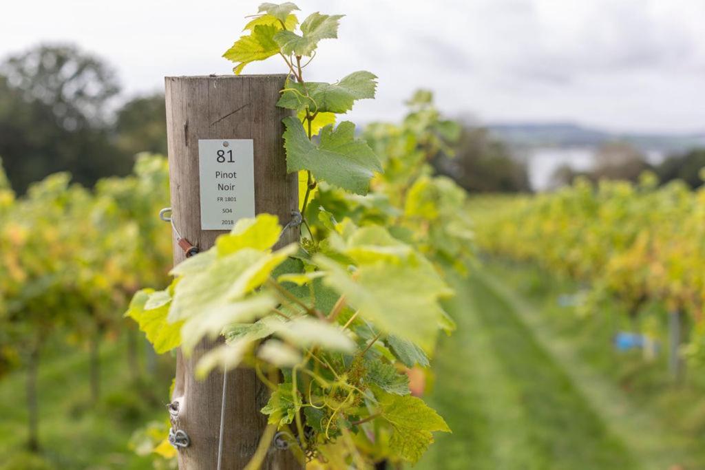 Lympstone Manor Hotel Restaurant & Vineyard - Relais & Chateaux 엑스머스 외부 사진