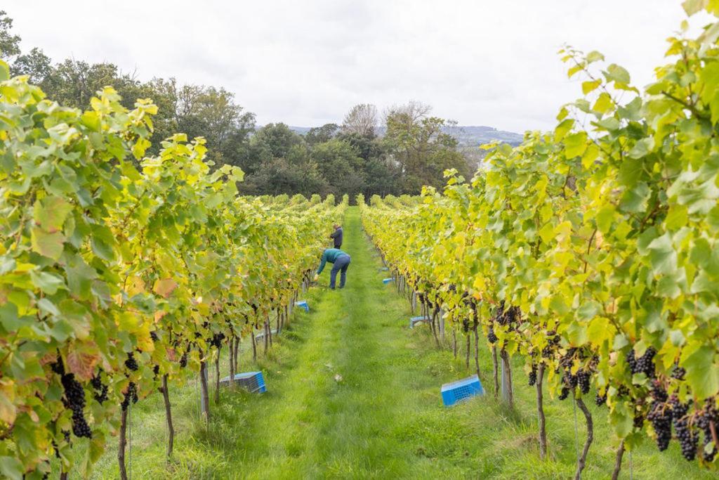 Lympstone Manor Hotel Restaurant & Vineyard - Relais & Chateaux 엑스머스 외부 사진
