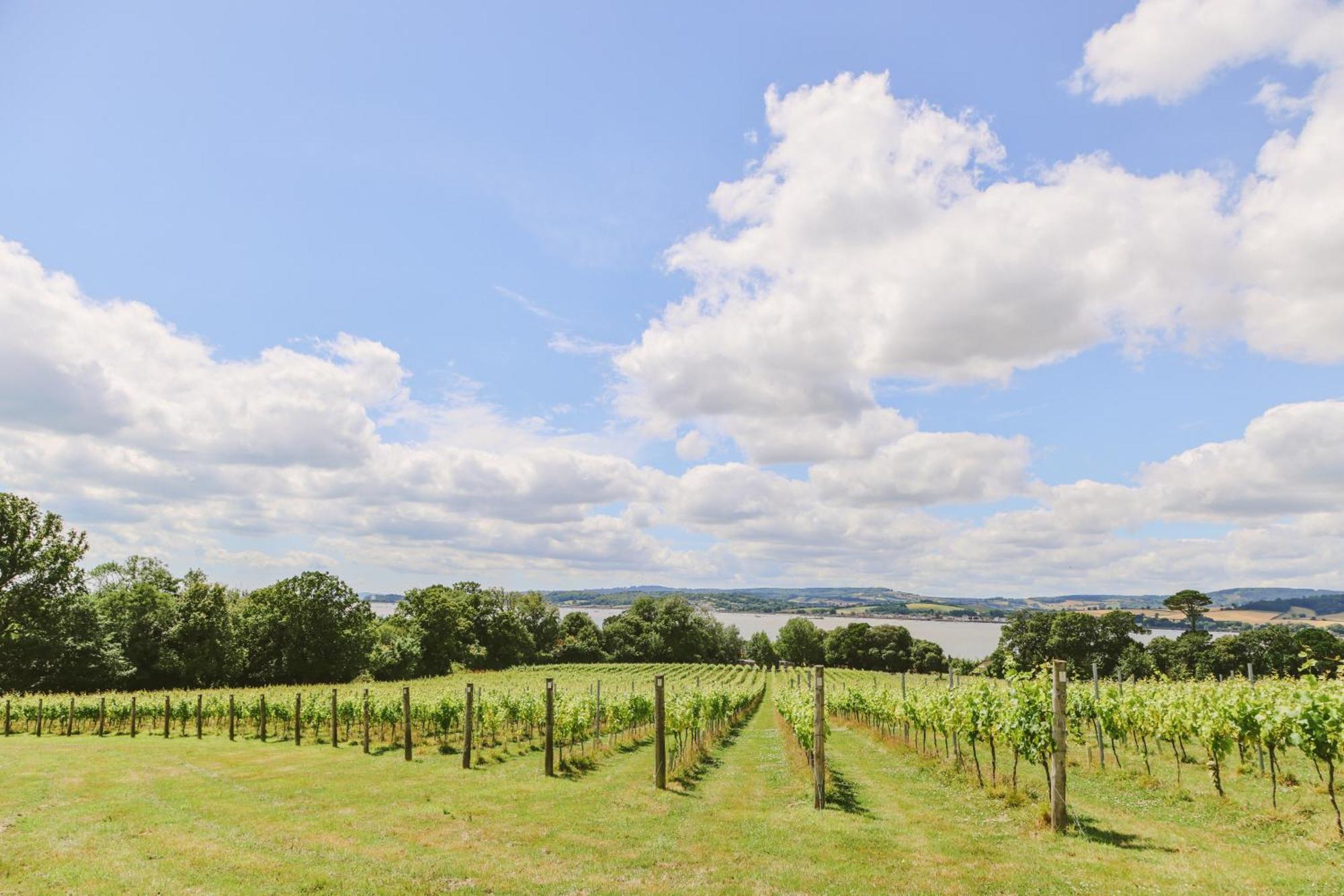 Lympstone Manor Hotel Restaurant & Vineyard - Relais & Chateaux 엑스머스 외부 사진