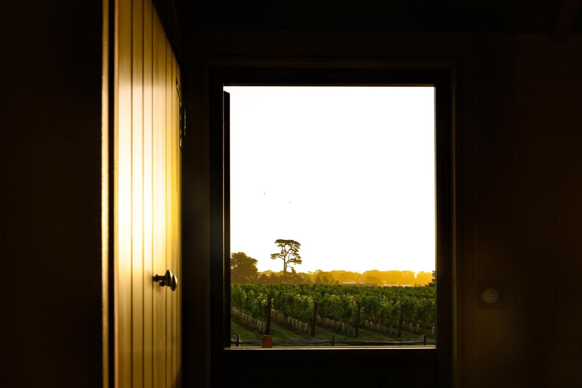 Lympstone Manor Hotel Restaurant & Vineyard - Relais & Chateaux 엑스머스 외부 사진