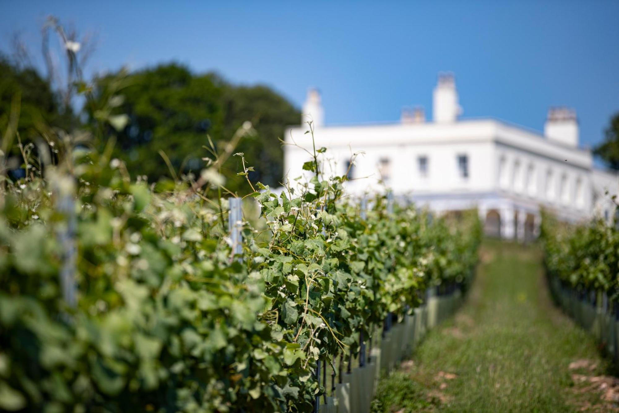 Lympstone Manor Hotel Restaurant & Vineyard - Relais & Chateaux 엑스머스 외부 사진