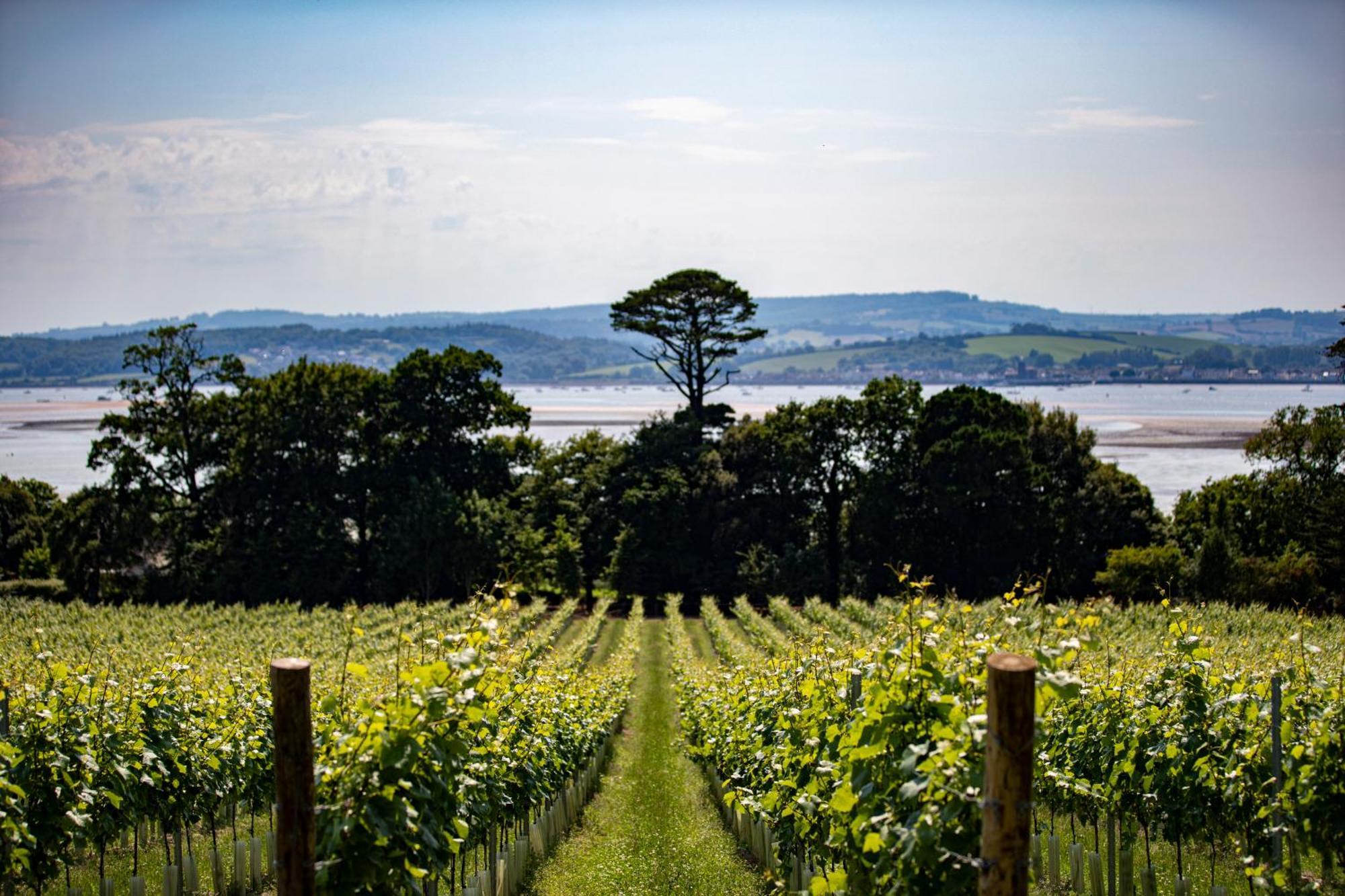 Lympstone Manor Hotel Restaurant & Vineyard - Relais & Chateaux 엑스머스 외부 사진