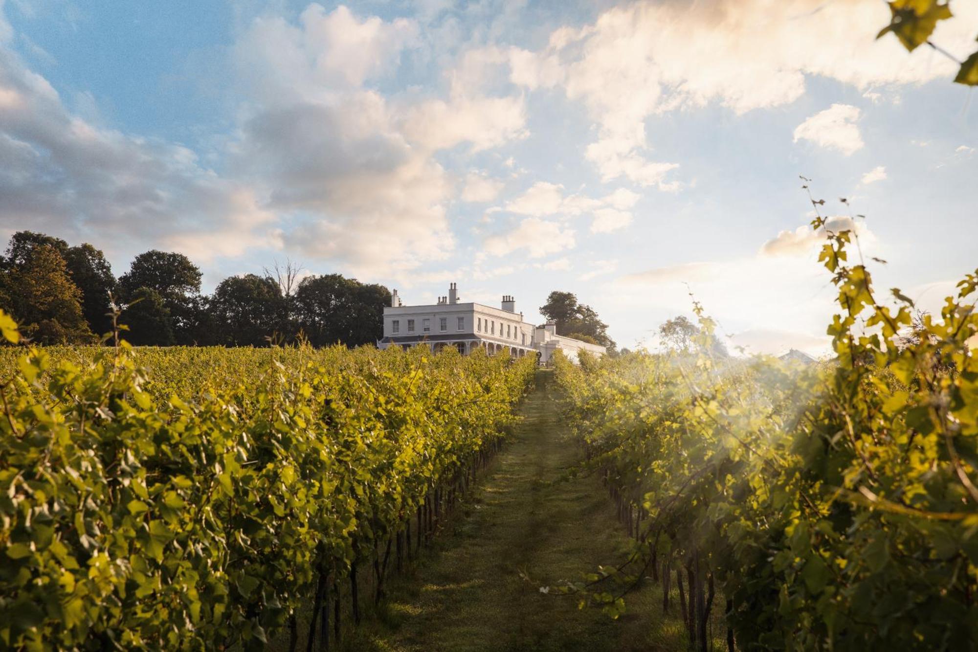 Lympstone Manor Hotel Restaurant & Vineyard - Relais & Chateaux 엑스머스 외부 사진